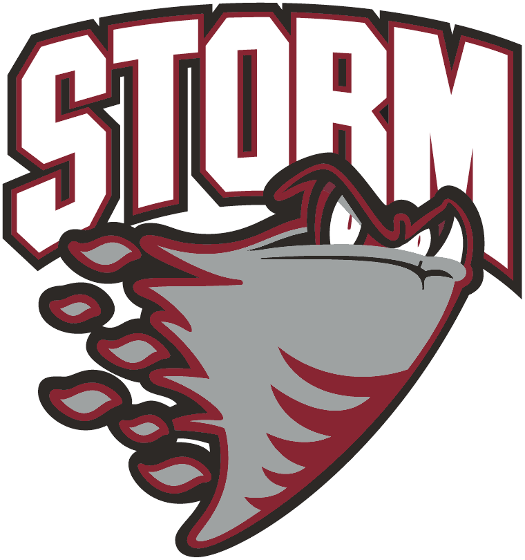 Guelph Storm 2007 08-2017 18 Primary Logo iron on paper